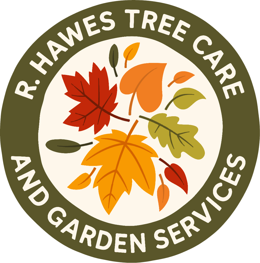 Logo_BG