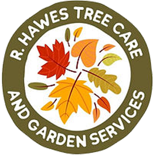 https://www.rhawesgardens.co.uk/wp-content/uploads/cropped-R-HAWES-TREE-CARE-FAVICON.png