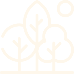 nature (1)