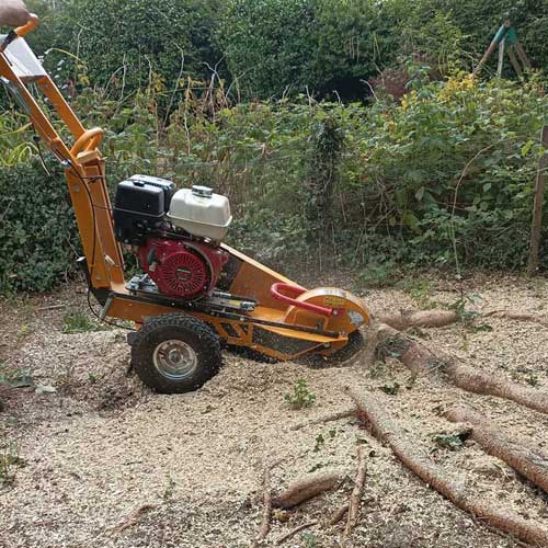 R. Hawes Tree Care & Garden Services stump grinder